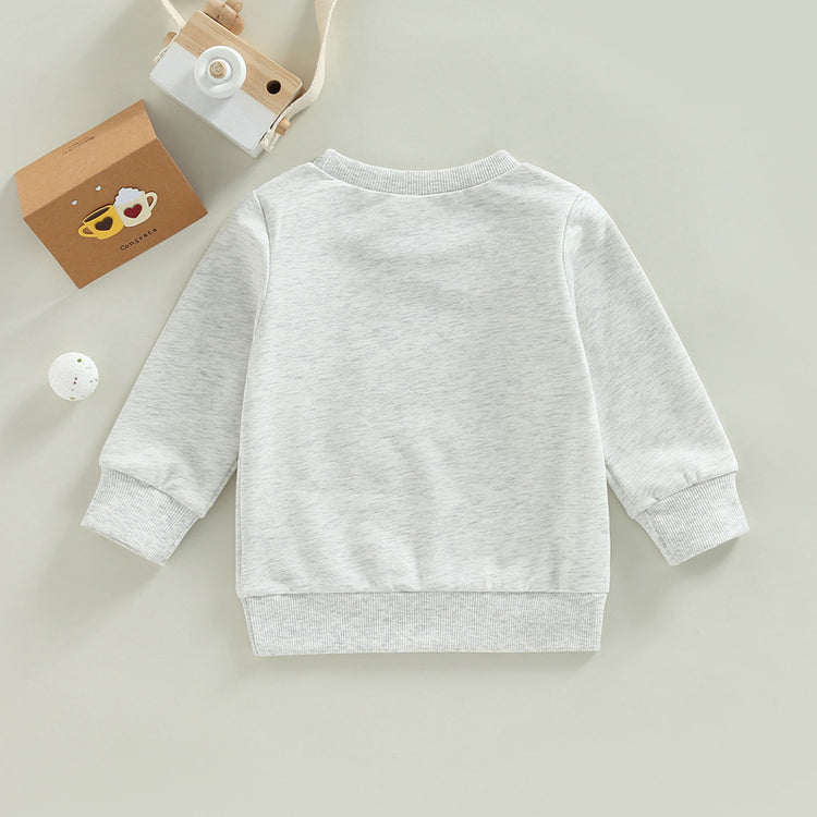 Toddler Unisex Winter Hoodie Cute Animal Patterned Fleece Pullover with Kangaroo Pocket for Little Boys and Girls