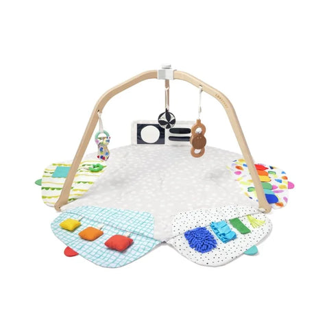 The Play Gym – Award-Winning Baby Activity Gym & Play Mat, Stage-Based Montessori Developmental Gym for Babies to Toddlers
